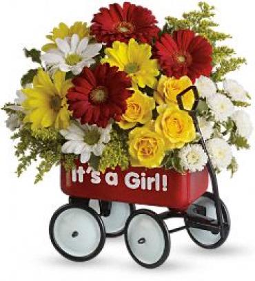 Baby Wow Wagon - Girl
