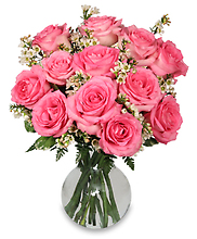 Chantilly Pink Roses