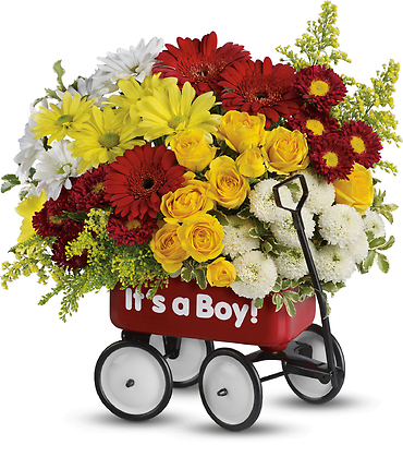 Baby Wow Wagon - Boy