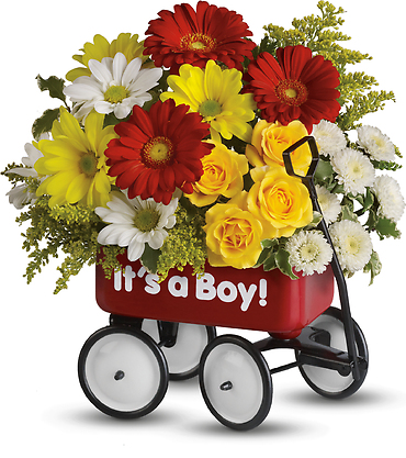 Baby Wow Wagon - Boy